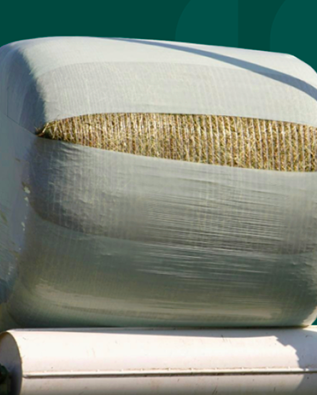 Dayrah-PE®: Smarter Packaging for a Sustainable Future